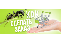 Как сделать заказ в интернет-магазине "Мистер Ант"