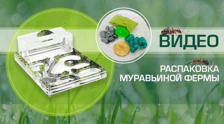 А что это там у нас в коробке? Распакуем?