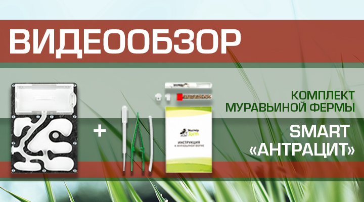 Видеообзор муравьиной фермы Мини "Антрацит"